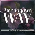春の陽気と軽快なメロディ Amanogawa Way