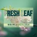 春風を感じるリフレッシュbgm Fresh Leaf