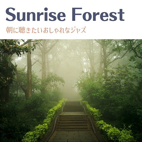 朝に聴きたいおしゃれなジャズ Sunrise Forest