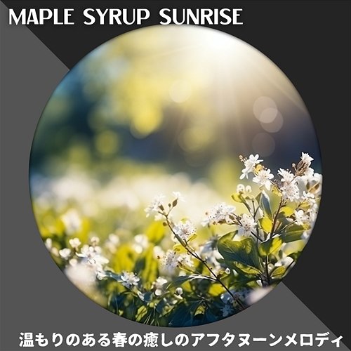 温もりのある春の癒しのアフタヌーンメロディ Maple Syrup Sunrise