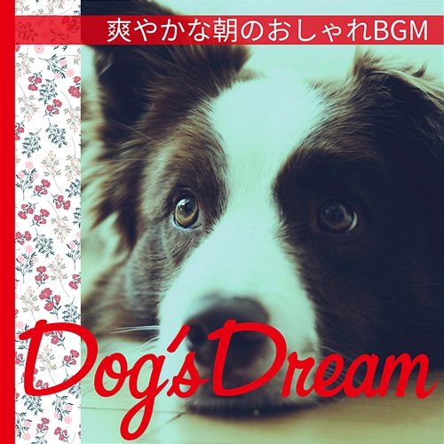 爽やかな朝のおしゃれbgm Dog’s Dream