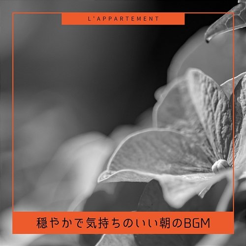 穏やかで気持ちのいい朝のbgm L'appartement