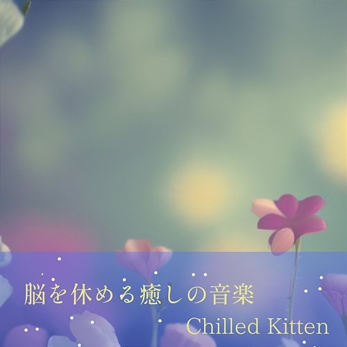 脳を休める癒しの音楽 Chilled Kitten