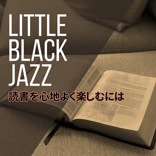 読書を心地よく楽しむには Little Black Jazz