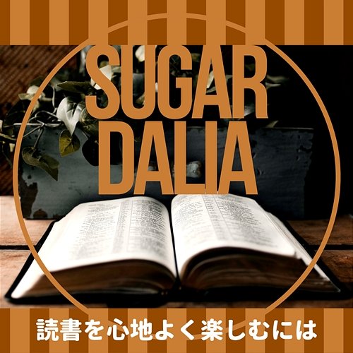 読書を心地よく楽しむには Sugar Dalia