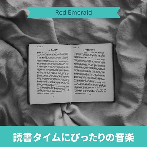 読書タイムにぴったりの音楽 Red Emerald