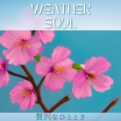 贅沢なひととき Weather Soul