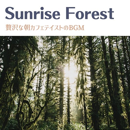 贅沢な朝カフェテイストのbgm Sunrise Forest