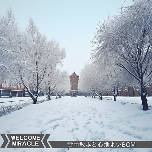 雪中散歩と心地よいbgm Welcome Miracle