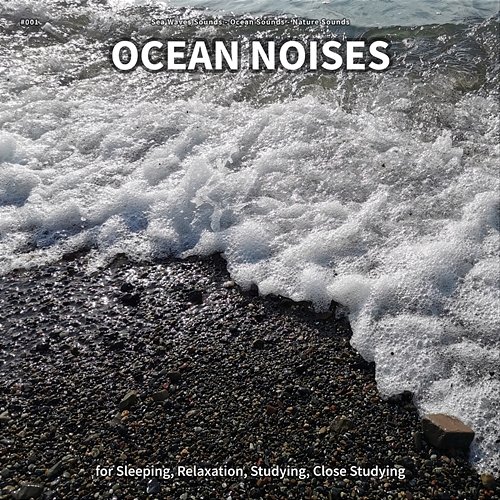 #001 Ocean Noises for Sleeping, Relaxation, Studying, Close Studying Sea Waves Sounds, Ocean Sounds, Nature Sounds