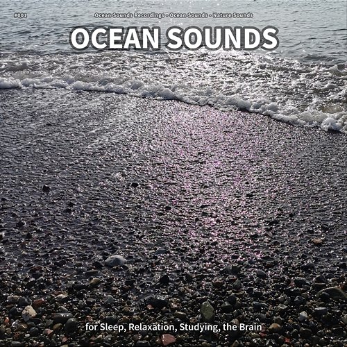 #001 Ocean Sounds for Sleep, Relaxation, Studying, the Brain Ocean Sounds Recordings, Ocean Sounds, Nature Sounds