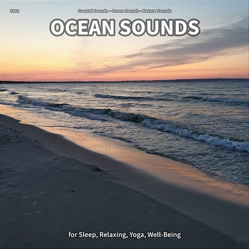 #001 Ocean Sounds for Sleep, Relaxing, Yoga, Well-Being Coastal Sounds, Ocean Sounds, Nature Sounds