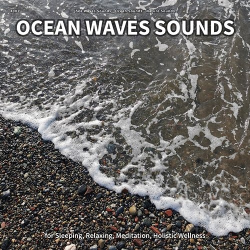 #001 Ocean Waves Sounds for Sleeping, Relaxing, Meditation, Holistic Wellness Sea Waves Sounds, Ocean Sounds, Nature Sounds