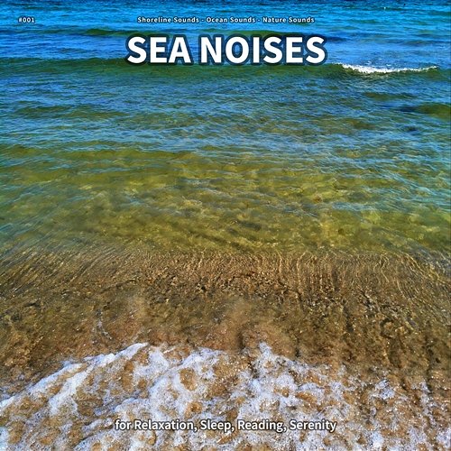 #001 Sea Noises for Relaxation, Sleep, Reading, Serenity Shoreline Sounds, Ocean Sounds, Nature Sounds