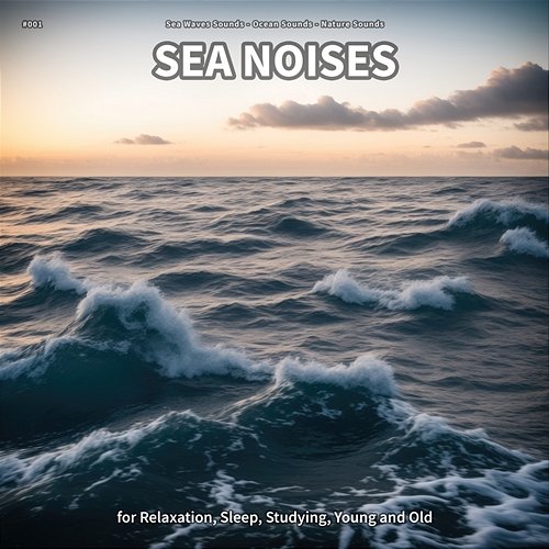#001 Sea Noises for Relaxation, Sleep, Studying, Young and Old Sea Waves Sounds, Ocean Sounds, Nature Sounds