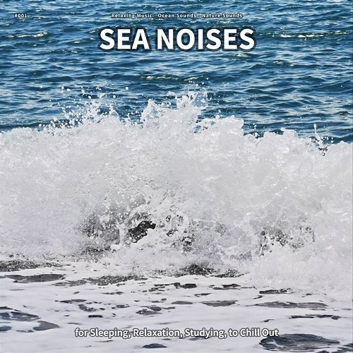 #001 Sea Noises for Sleeping, Relaxation, Studying, to Chill Out Relaxing Music, Ocean Sounds, Nature Sounds
