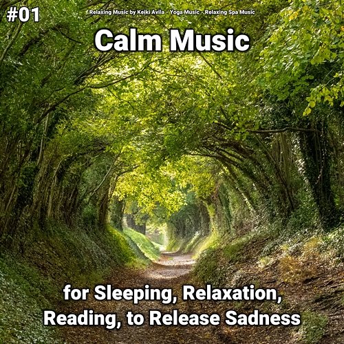 #01 Calm Music for Sleeping, Relaxation, Reading, to Release Sadness Yoga Music, Relaxing Music by Keiki Avila, Relaxing Spa Music