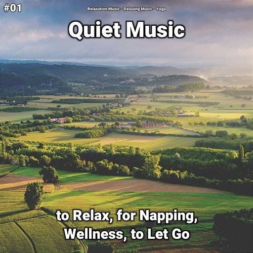 #01 Quiet Music to Relax, for Napping, Wellness, to Let Go Relaxing Music, Relaxation Music, Yoga