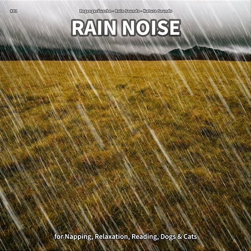 #01 Rain Noise for Napping, Relaxation, Reading, Dogs & Cats Regengeräusche, Rain Sounds, Nature Sounds