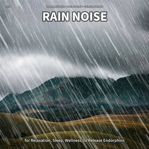 #01 Rain Noise for Relaxation, Sleep, Wellness, to Release Endorphins Regengeräusche, Rain Sounds, Calming Sounds