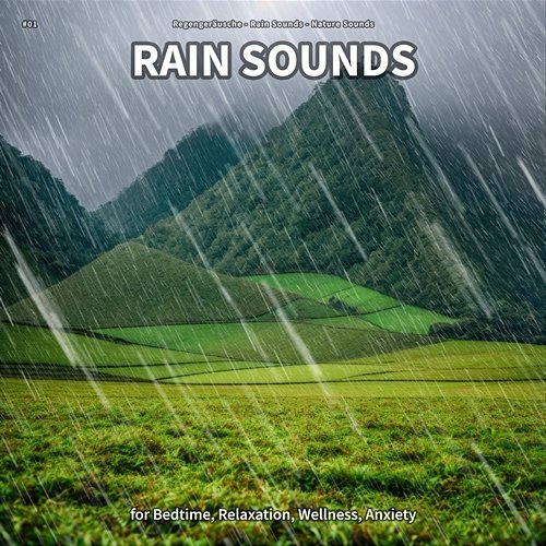#01 Rain Sounds for Bedtime, Relaxation, Wellness, Anxiety Regengeräusche, Rain Sounds, Nature Sounds