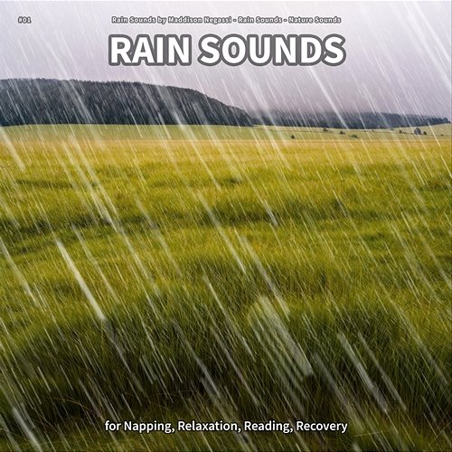 #01 Rain Sounds for Napping, Relaxation, Reading, Recovery Rain Sounds by Maddison Negassi, Rain Sounds, Nature Sounds