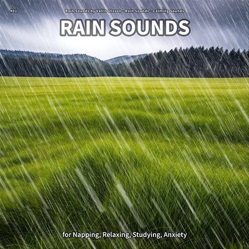 #01 Rain Sounds for Napping, Relaxing, Studying, Anxiety Rain Sounds by Vallis Olsson, Rain Sounds, Calming Sounds