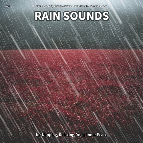 #01 Rain Sounds for Napping, Relaxing, Yoga, Inner Peace Rain Sounds by Zakariae Witmer, Rain Sounds, Nature Sounds