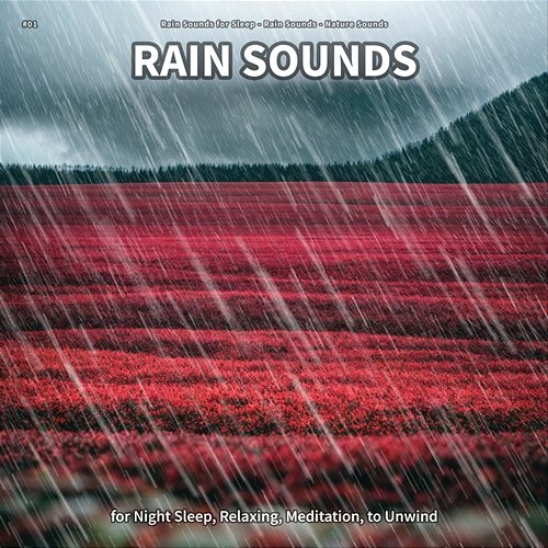 #01 Rain Sounds for Night Sleep, Relaxing, Meditation, to Unwind Rain Sounds For Sleep, Rain Sounds, Nature Sounds