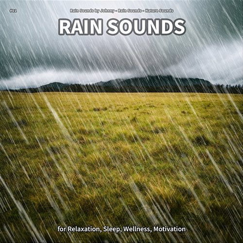 #01 Rain Sounds for Relaxation, Sleep, Wellness, Motivation Rain Sounds by Johnny, Rain Sounds, Nature Sounds