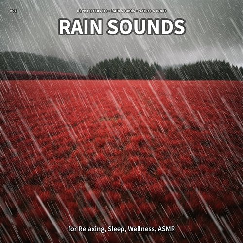 #01 Rain Sounds for Relaxing, Sleep, Wellness, ASMR Regengeräusche, Rain Sounds, Nature Sounds