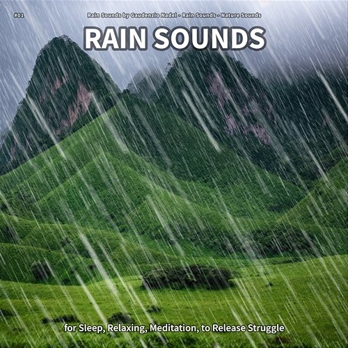 #01 Rain Sounds for Sleep, Relaxing, Meditation, to Release Struggle Rain Sounds by Gaudenzio Nadel, Rain Sounds, Nature Sounds