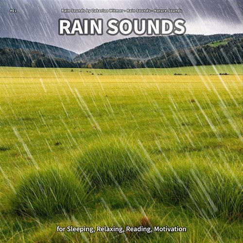 #01 Rain Sounds for Sleeping, Relaxing, Reading, Motivation Rain Sounds by Zakariae Witmer, Rain Sounds, Nature Sounds