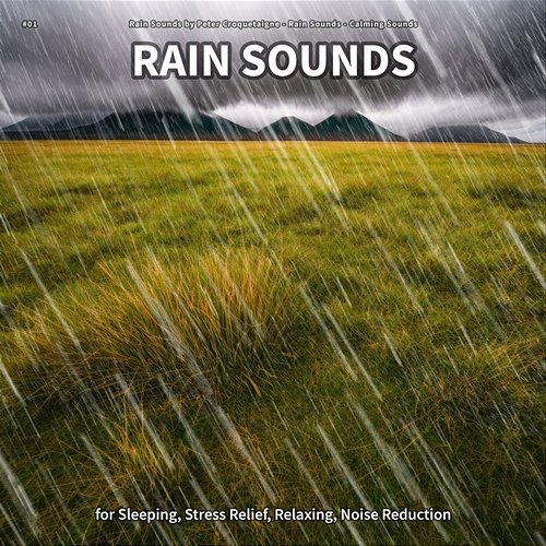 #01 Rain Sounds for Sleeping, Stress Relief, Relaxing, Noise Reduction Rain Sounds by Peter Croquetaigne, Rain Sounds, Calming Sounds