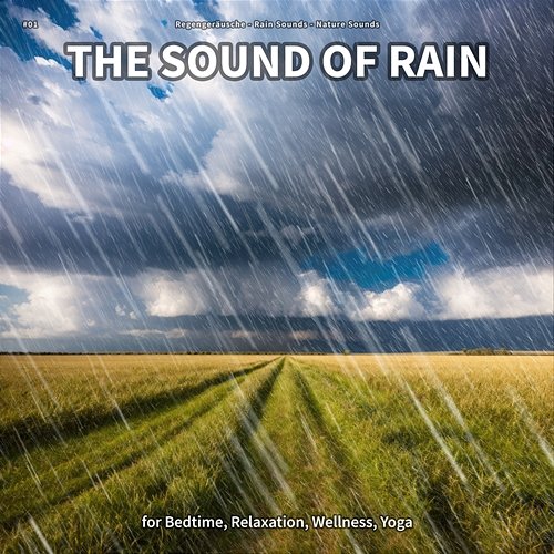 #01 The Sound of Rain for Bedtime, Relaxation, Wellness, Yoga Regengeräusche, Rain Sounds, Nature Sounds