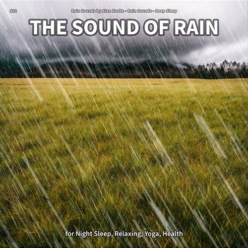 #01 The Sound of Rain for Night Sleep, Relaxing, Yoga, Health Rain Sounds by Alan Naake, Rain Sounds, Deep Sleep