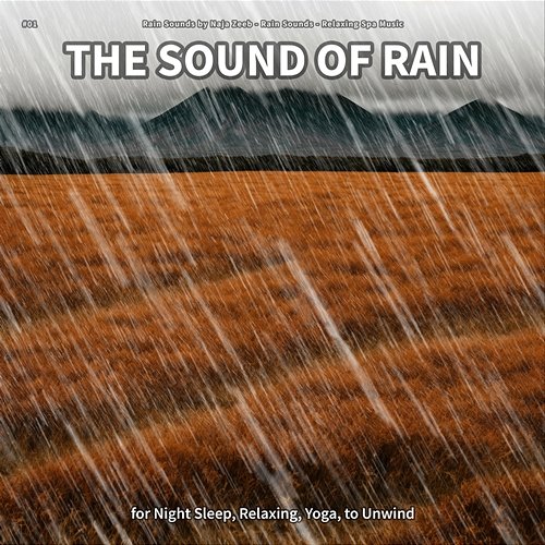 #01 The Sound of Rain for Night Sleep, Relaxing, Yoga, to Unwind Rain Sounds by Naja Zeeb, Rain Sounds, Relaxing Spa Music