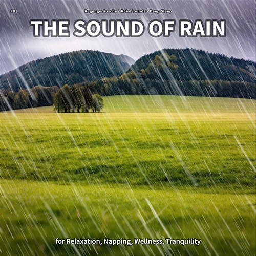 #01 The Sound of Rain for Relaxation, Napping, Wellness, Tranquility Regengeräusche, Rain Sounds, Deep Sleep