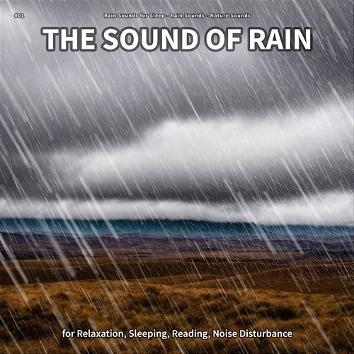 #01 The Sound of Rain for Relaxation, Sleeping, Reading, Noise Disturbance Rain Sounds For Sleep, Rain Sounds, Nature Sounds