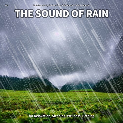 #01 The Sound of Rain for Relaxation, Sleeping, Wellness, Bathing Rain Sounds by Darius Alire, Rain Sounds, Nature Sounds