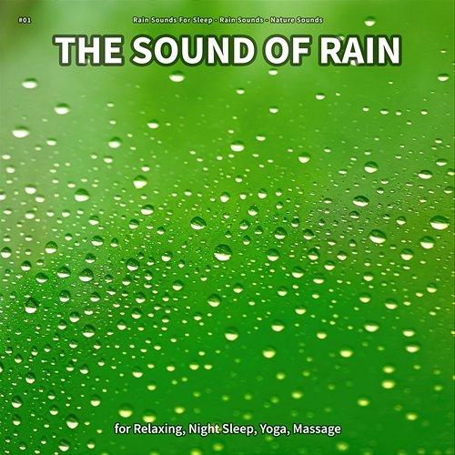 #01 The Sound of Rain for Relaxing, Night Sleep, Yoga, Massage Rain Sounds For Sleep, Rain Sounds, Nature Sounds