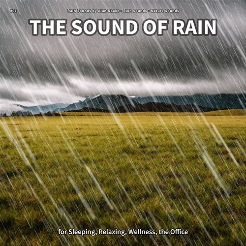 #01 The Sound of Rain for Sleeping, Relaxing, Wellness, the Office Rain Sounds by Alan Naake, Rain Sounds, Nature Sounds