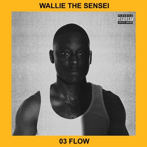 03 Flow Wallie the Sensei