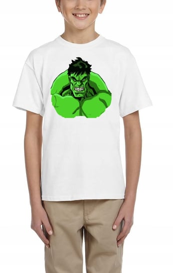 0408 Koszulka Dziecięca Avengers Marvel Hulk 116 Inna marka
