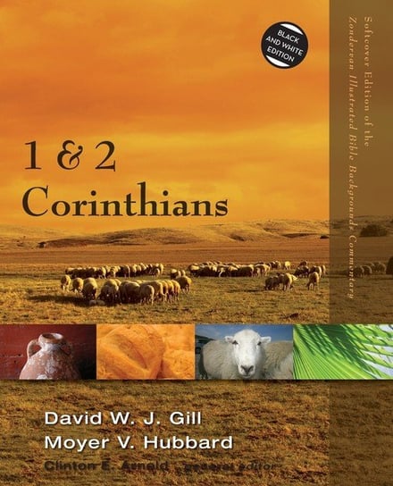 1 and 2 Corinthians Gill David W. J.