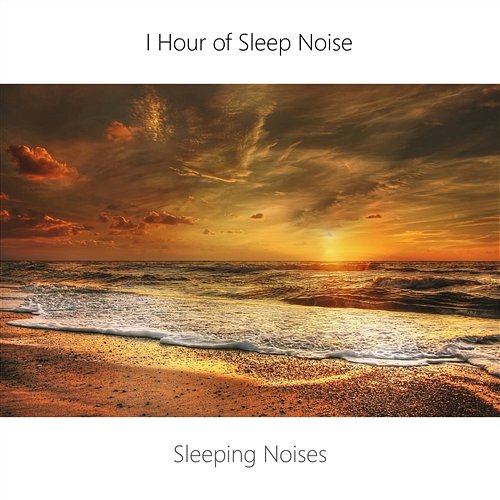 1 Hour Sleep Noise Loop. Sea, Wind and Brown Noise Sleep. Sleeping Music. Sleeping Noises and Calming Relax Therapy Noise