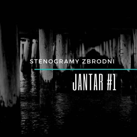 #1 Jantar - Stenogramy zbrodni - podcast Wielg Piotr