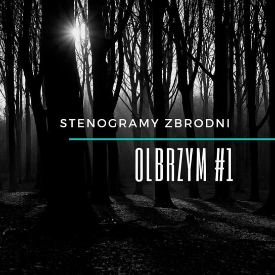 #1 Olbrzym - Stenogramy zbrodni - podcast Wielg Piotr