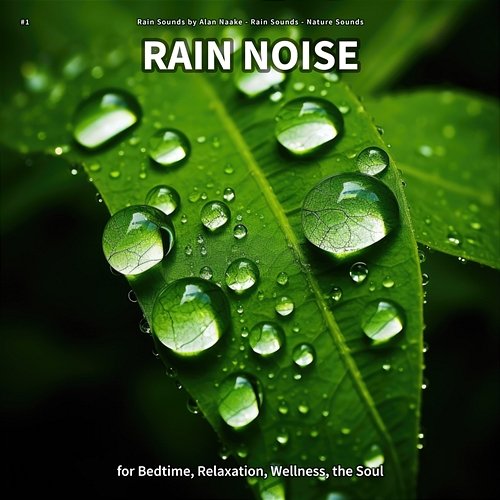 #1 Rain Noise for Bedtime, Relaxation, Wellness, the Soul Rain Sounds by Alan Naake, Rain Sounds, Nature Sounds
