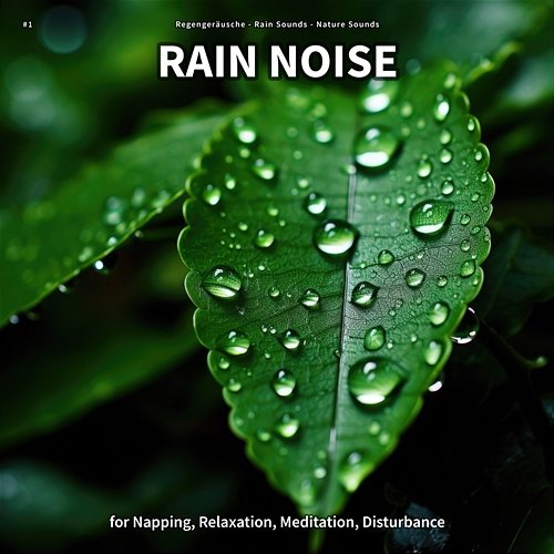 #1 Rain Noise for Napping, Relaxation, Meditation, Disturbance Regengeräusche, Rain Sounds, Nature Sounds